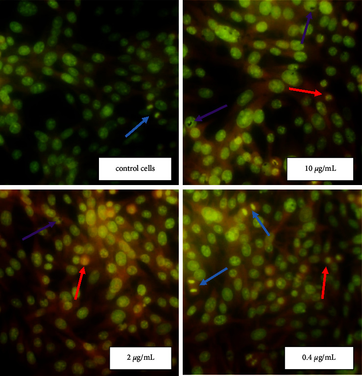 Figure 5